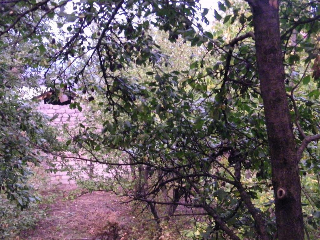 Фото Jasmine Boutique Guesthouse