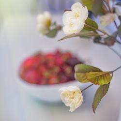 Фото H&b Apartments на улице Ивана Мачабели