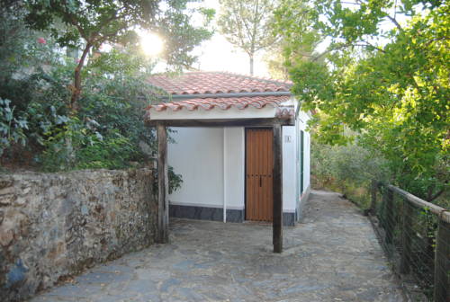 Фото Aparthotel Las Palomas