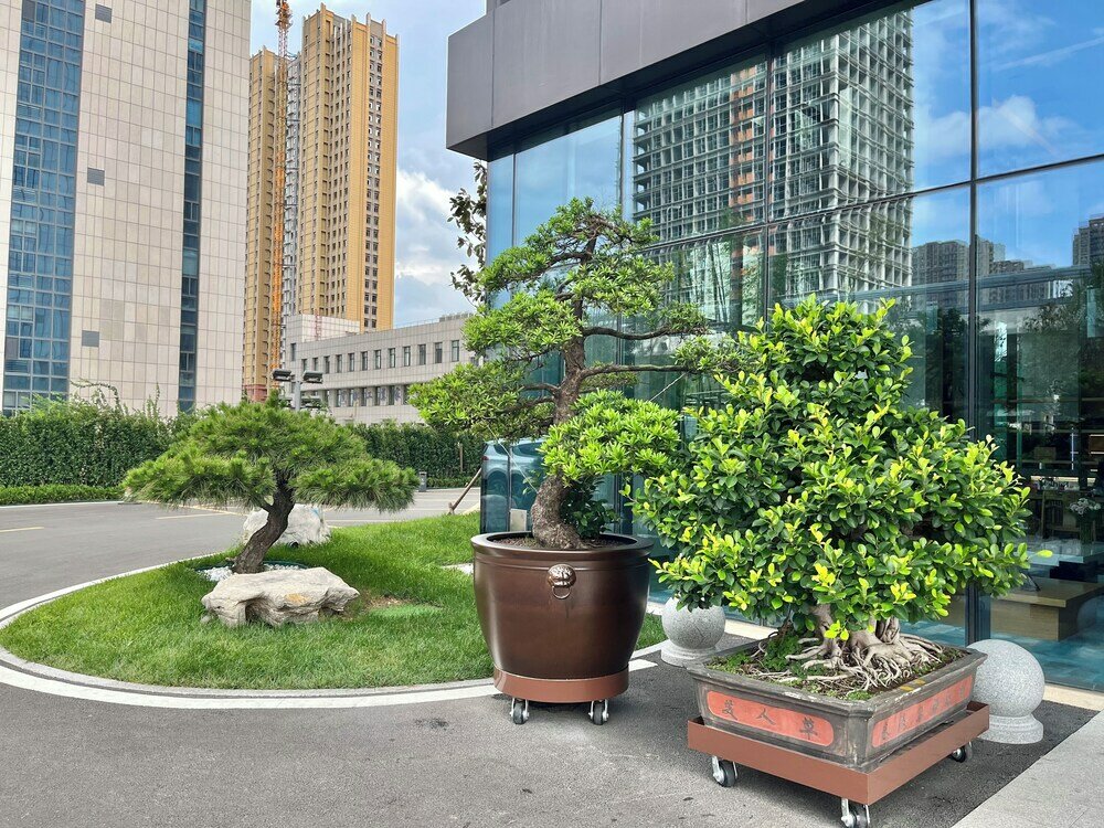 Фото Fairfield by Marriott Zibo