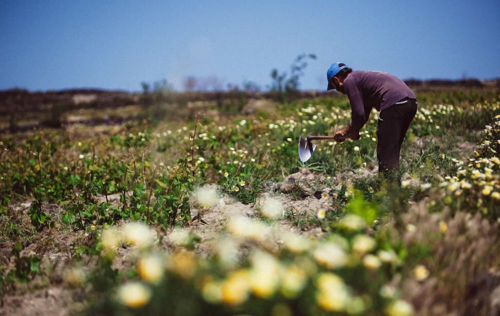 Фото Santonero - The Philoxenia Project
