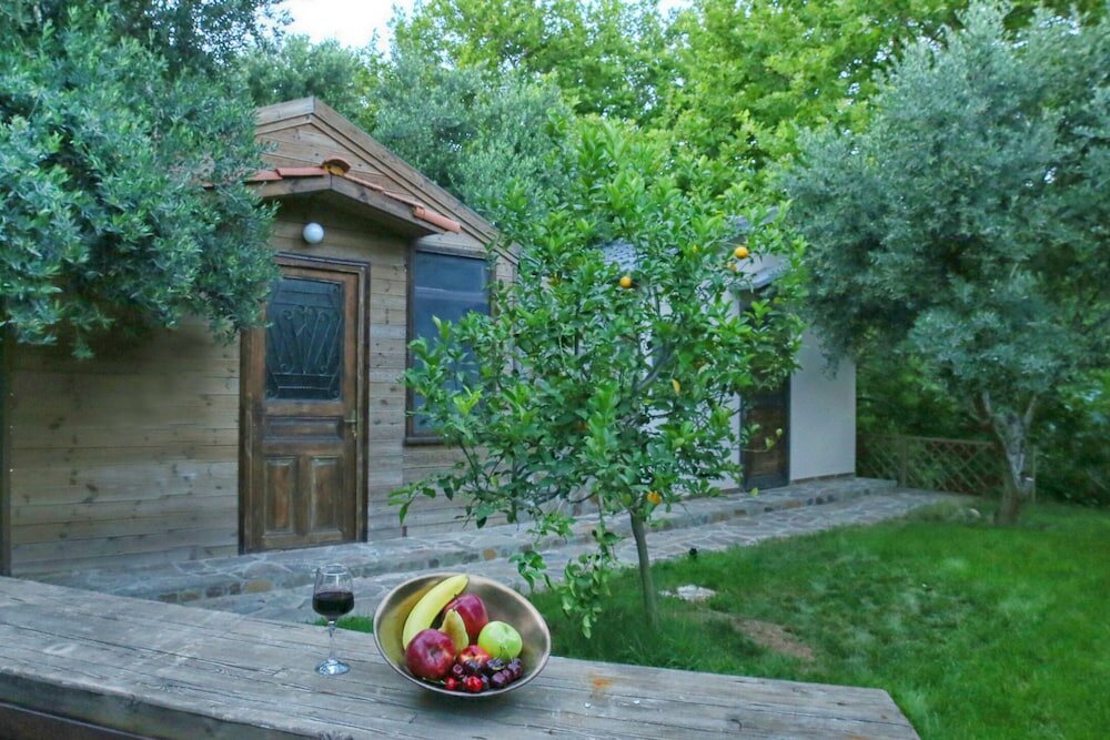 Фото Captain Ikaros