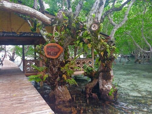 Гостиница Talikud Island Mangrove Beach Resort