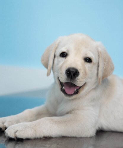 Жалаңаш әйелдердің жеке порно фотосуреттері