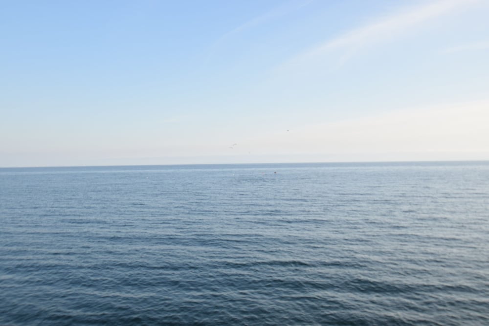 Фото Malibu Beach Paradise Apartments