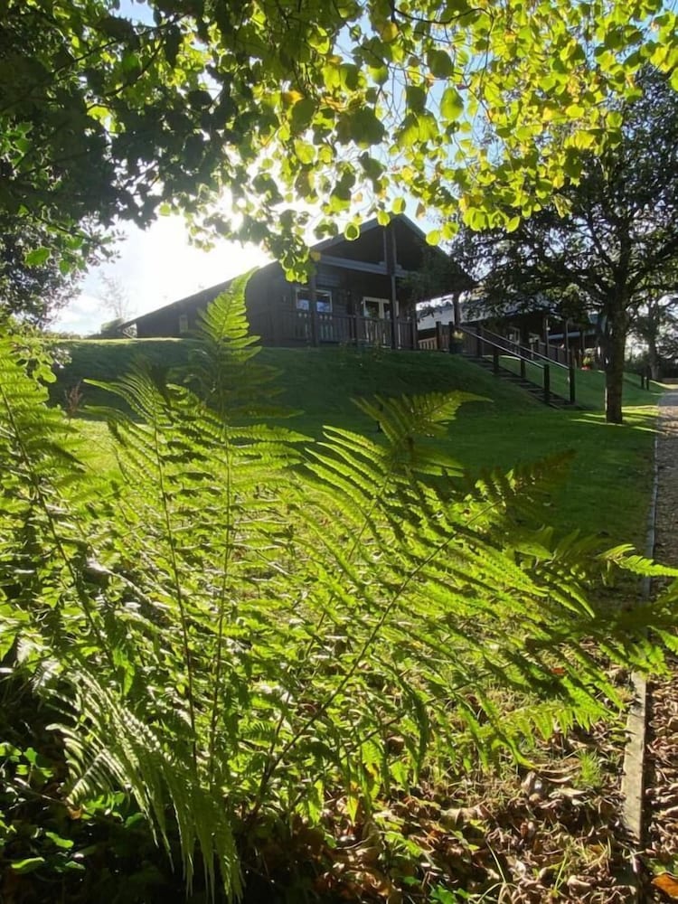 Фото Hollybush Lodges