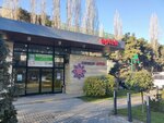 Zeferan Pharmacy № 5 (Baku, Fеtеli xan Xoyski Avenue), pharmacy