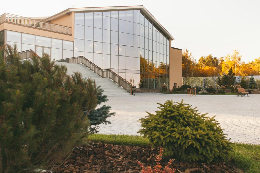 Фото Берёзка