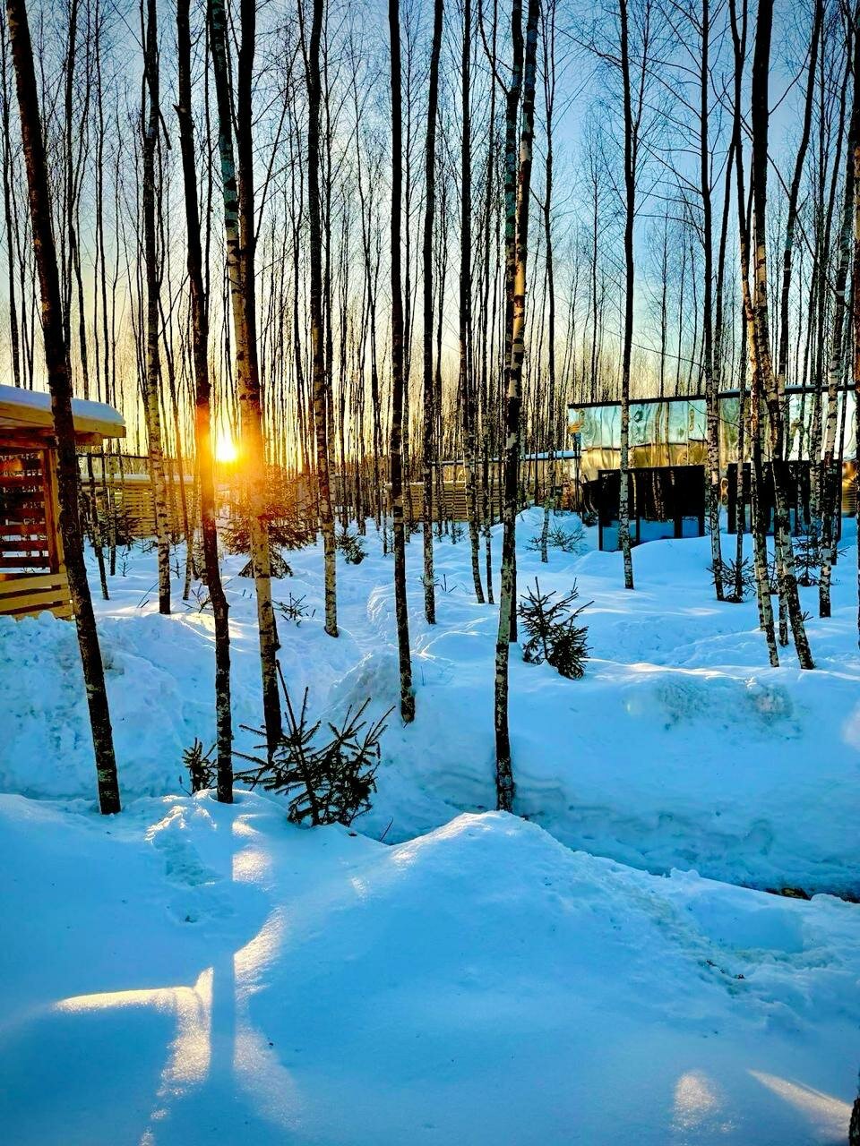 Фото Мы Дома- Зеркальный лес