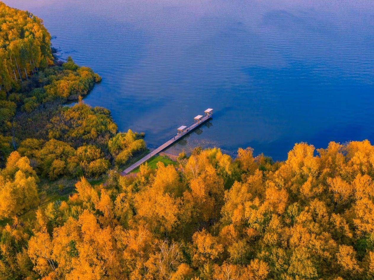 Фото База отдыха Домики