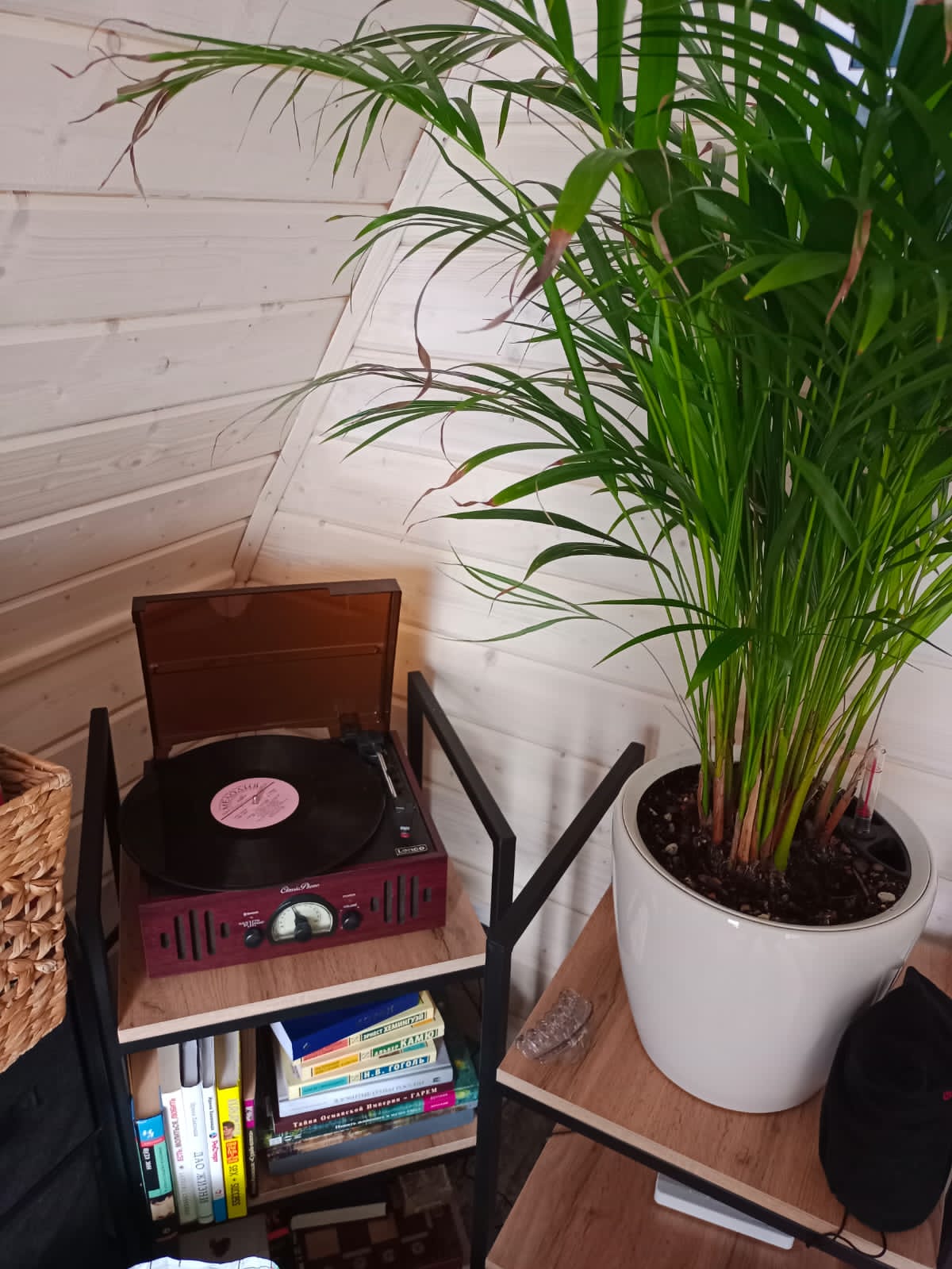 Фото Fraubu. camp