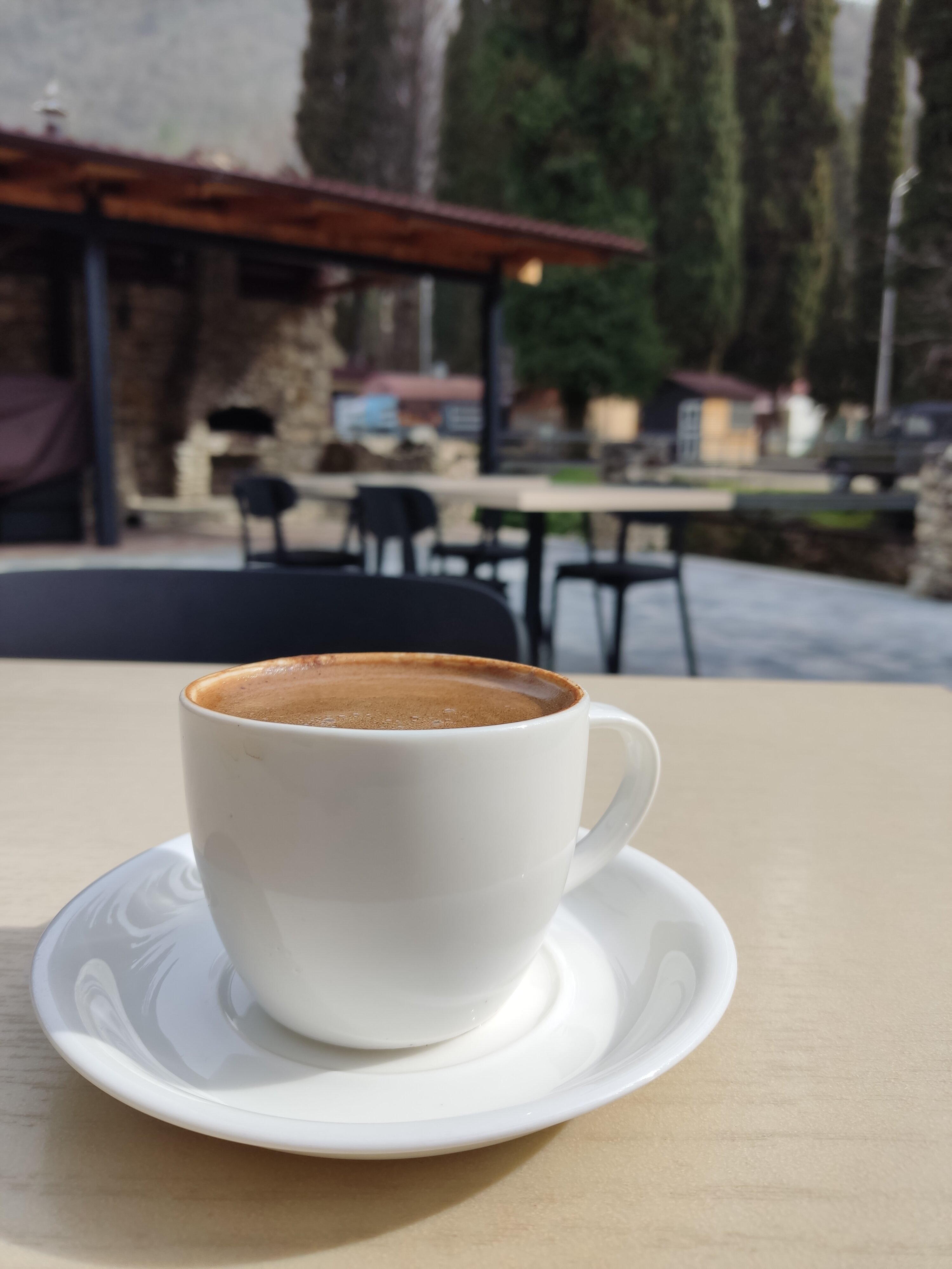 Фото Отель Грифон