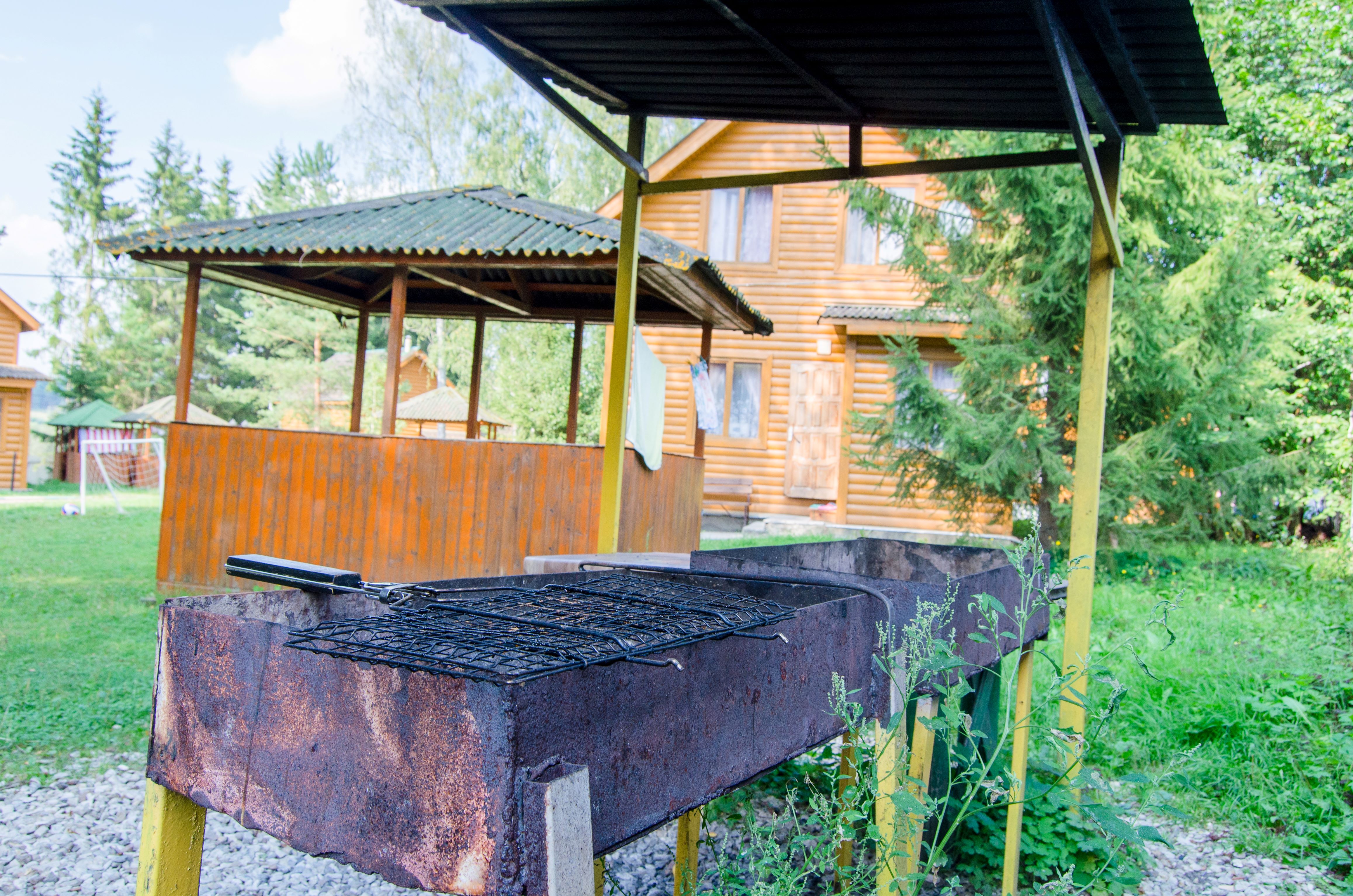 Фото Берёзовая роща