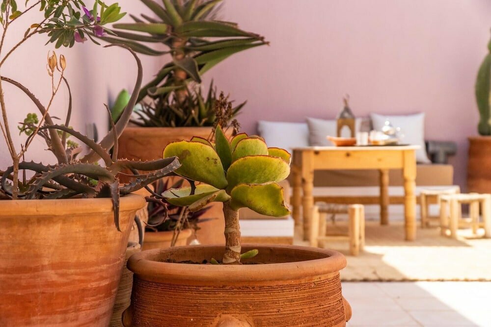 Фото Inna guest house