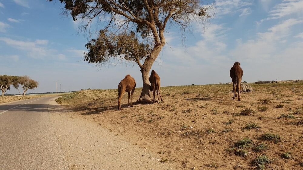 Фото Inna guest house