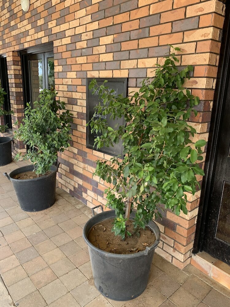 Фото Central Motel