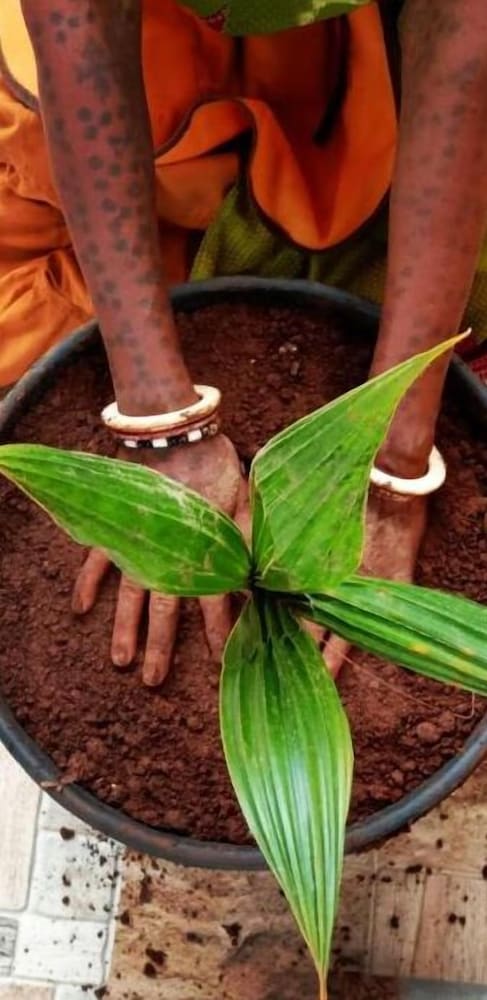 Фото Dream Vision Guest House