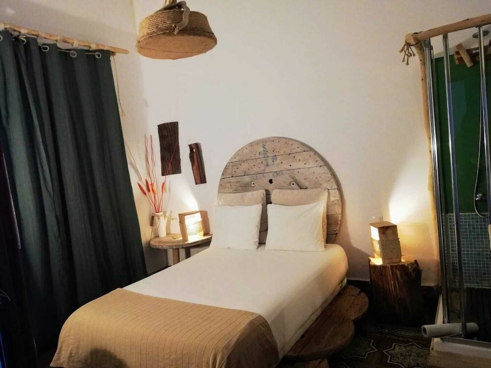 Фото Cactus Host