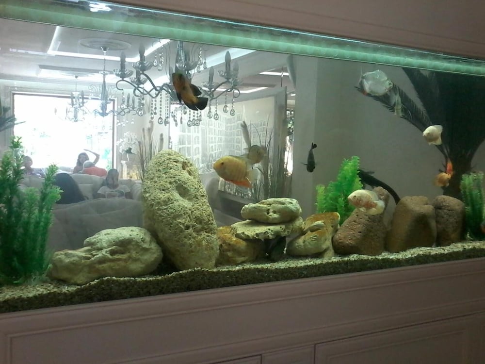 Фото Harmony Suites