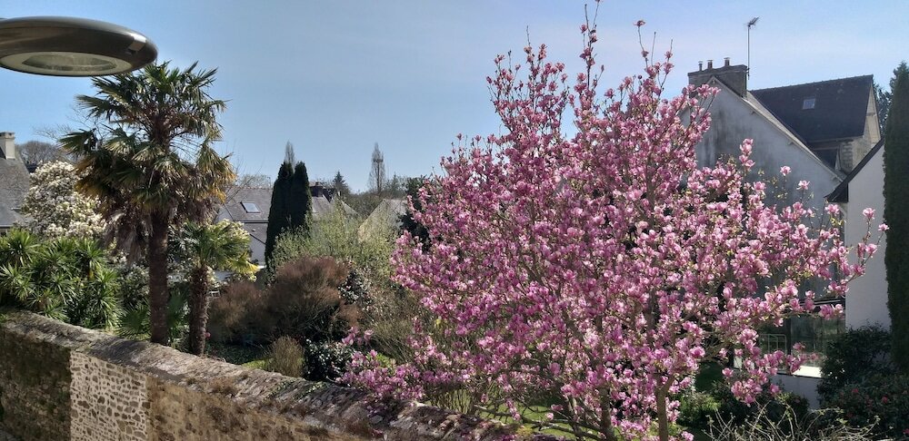 Фото Hôtel Ginkgo