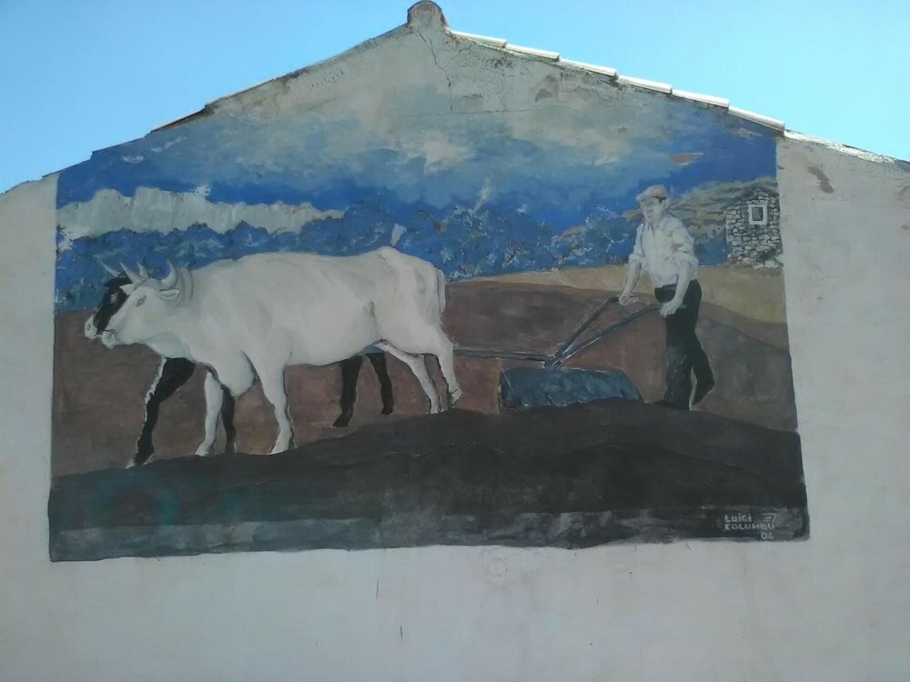 Фото Agriturismo Camisadu