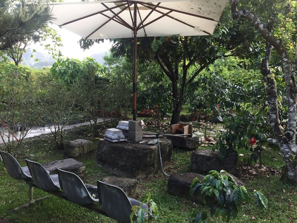 Фото Cyueci Villa