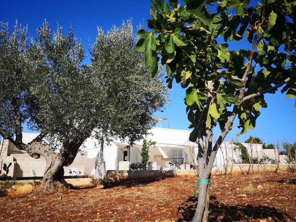 Фото Masseria Poesia