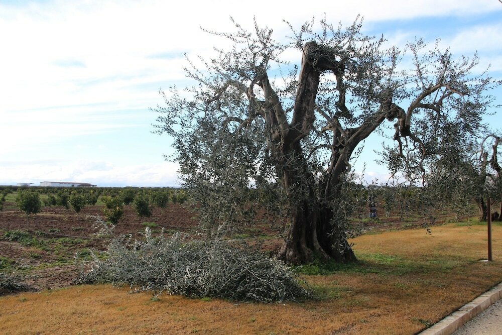 Фото Agrumare Farm Holiday