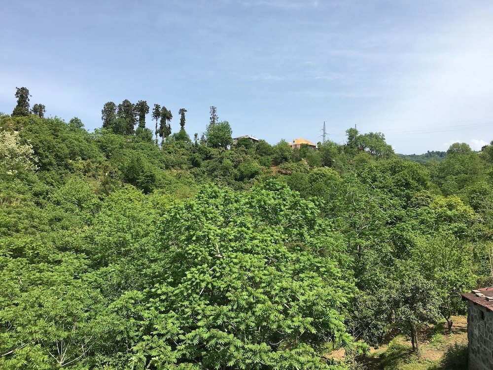 Фото White Guest House