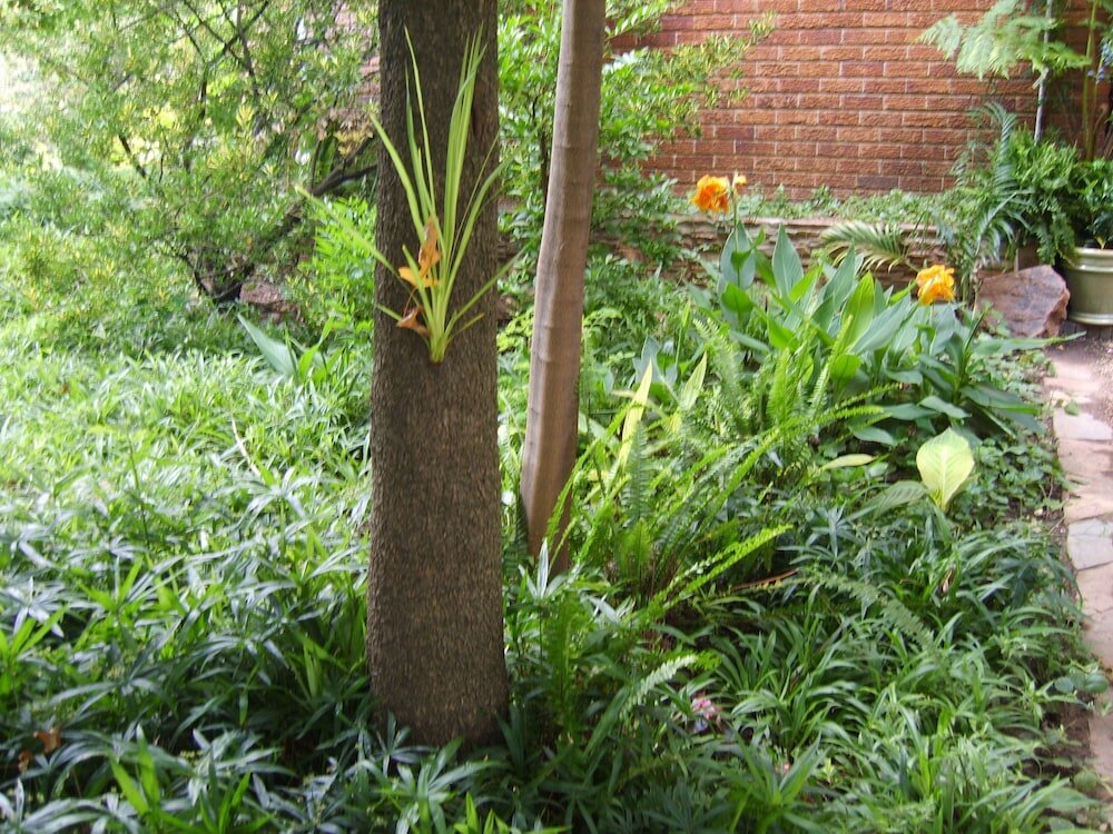 Фото Emerald Guest House Springs