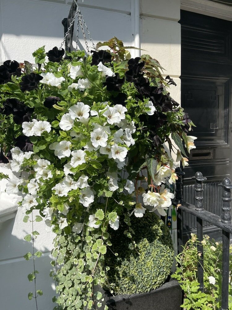 Фото The Twenty One B&b