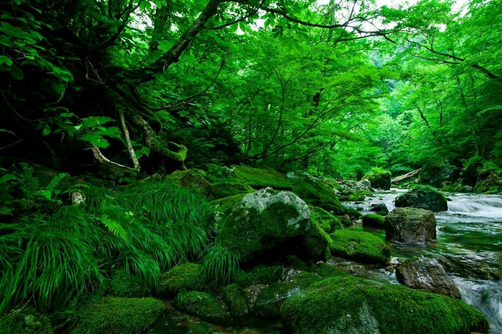 Фото Bunano Sato Shirakamikan