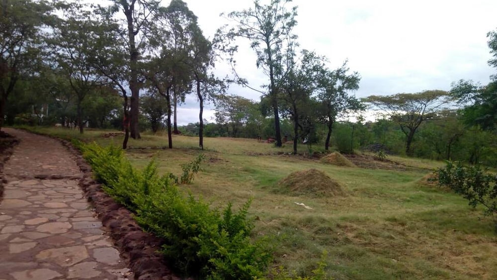 Фото Ancestors Lodge