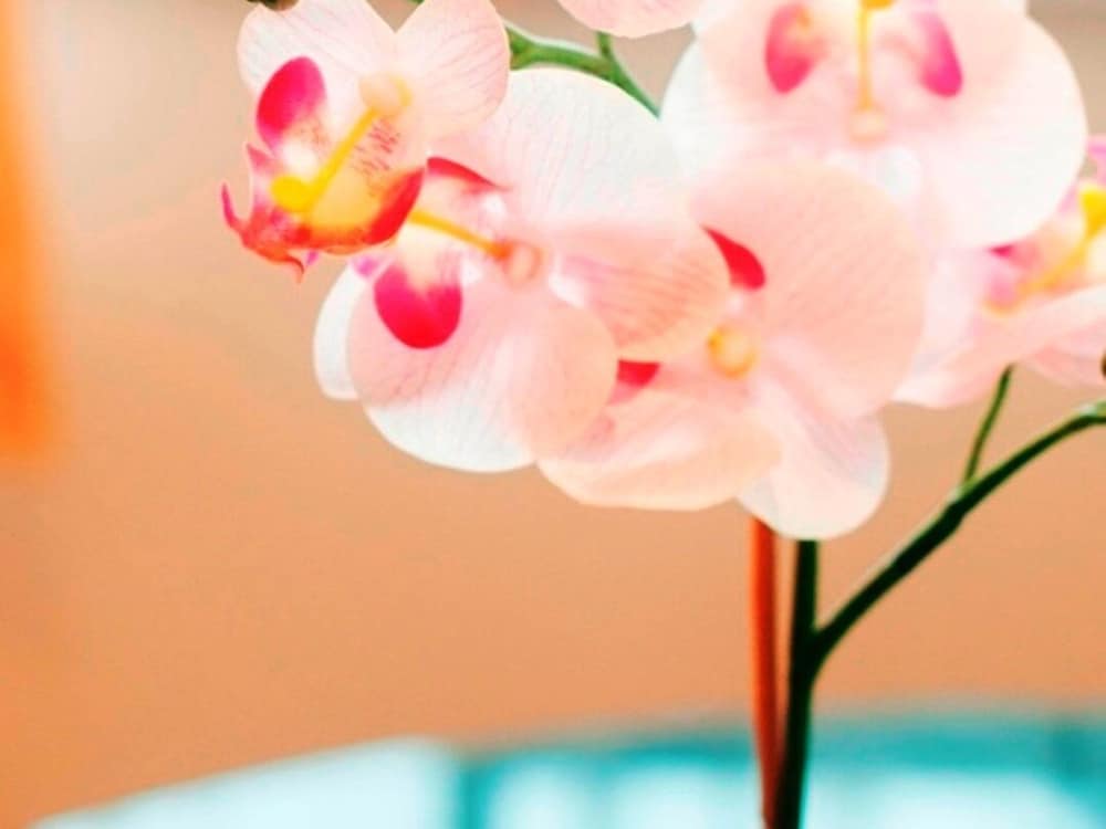 Фото Capital Host Baker Street