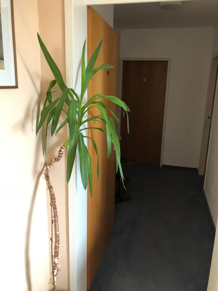 Фото Hotel Junkerhaus