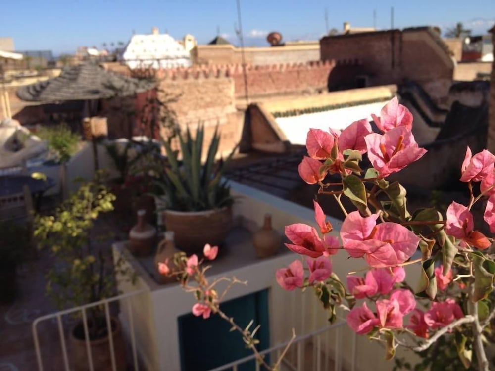 Фото Riad Le Coq Berbere