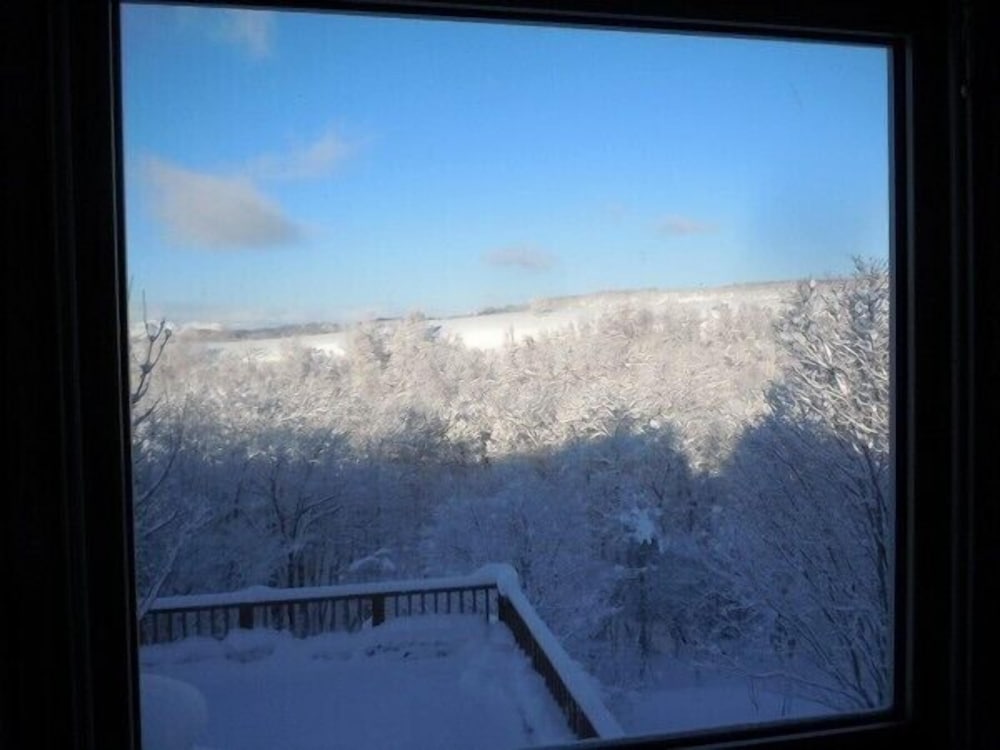 Фото Niseko Villa Nupuri Leben