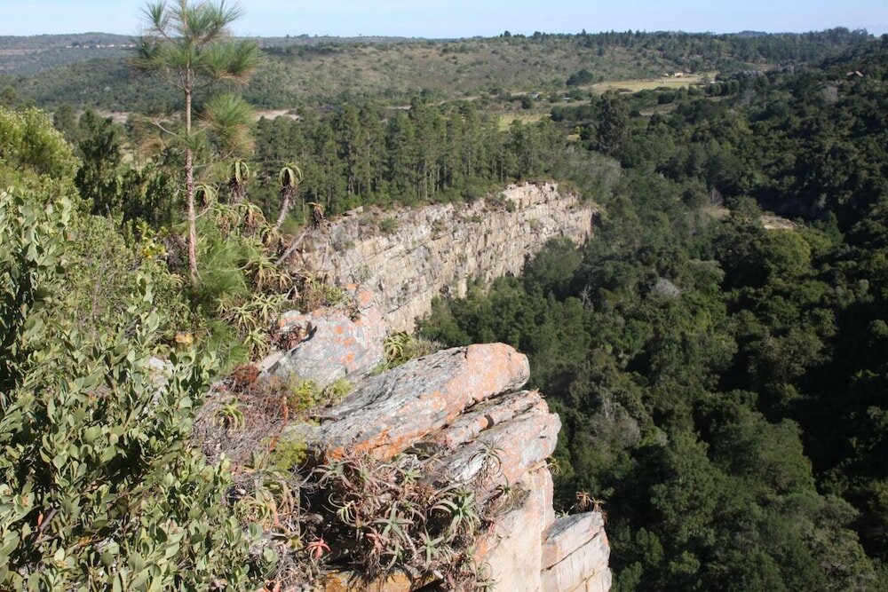 Фото Swartvlei Equestrian Estate