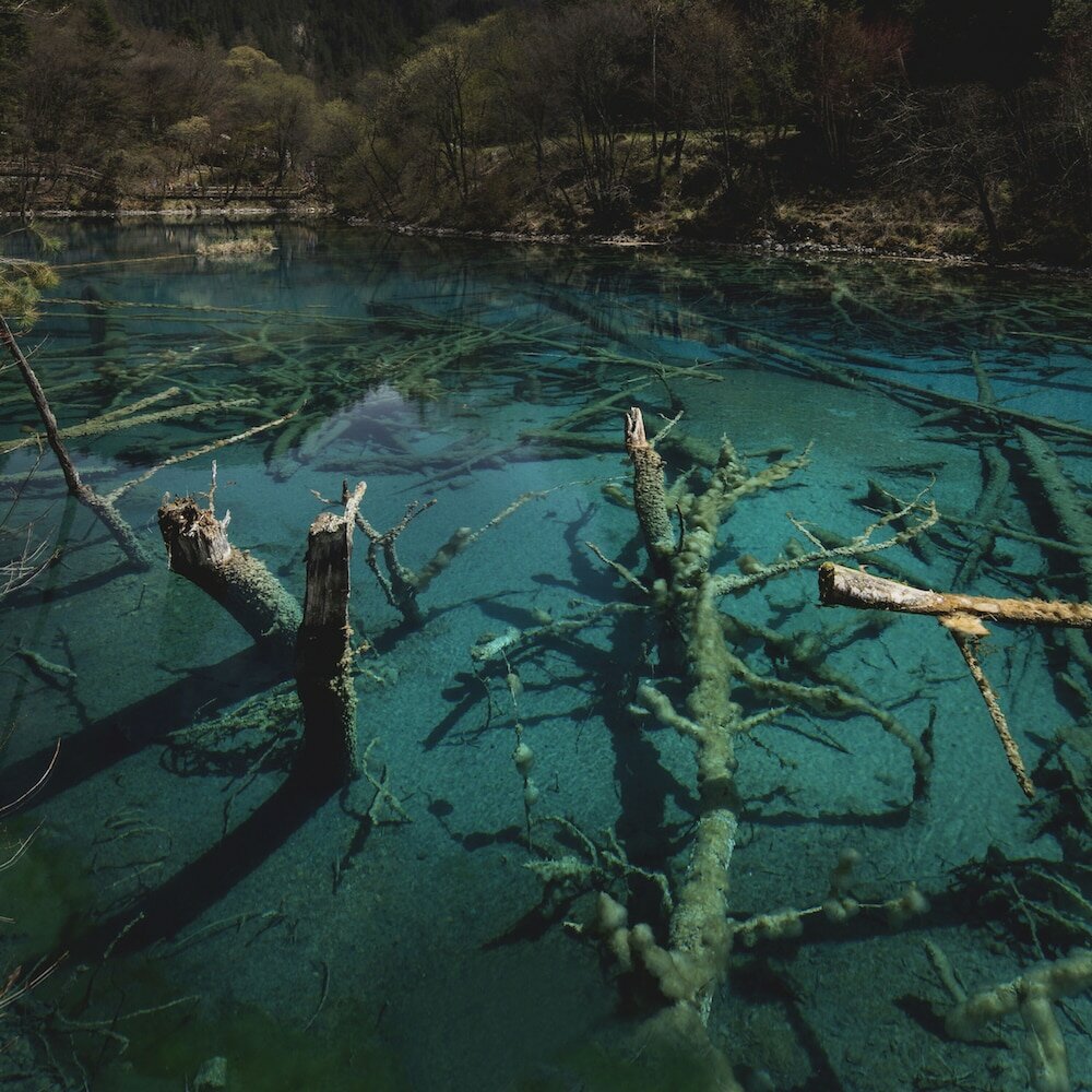 Фото Hilton Garden Inn Jiuzhaigou
