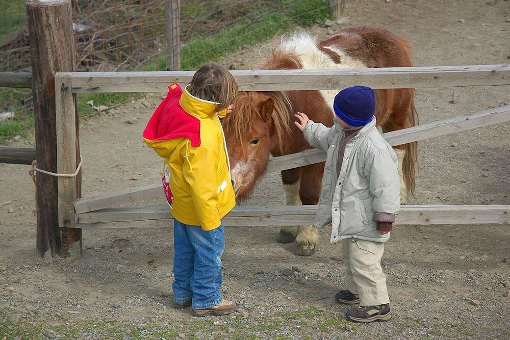 Фото Lasinthos Eco Park