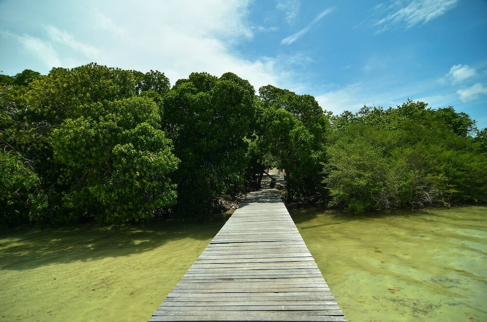 Фото Huraa East Inn