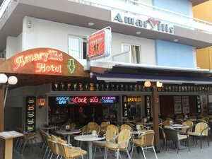 Гостиница Amaryllis Hotel