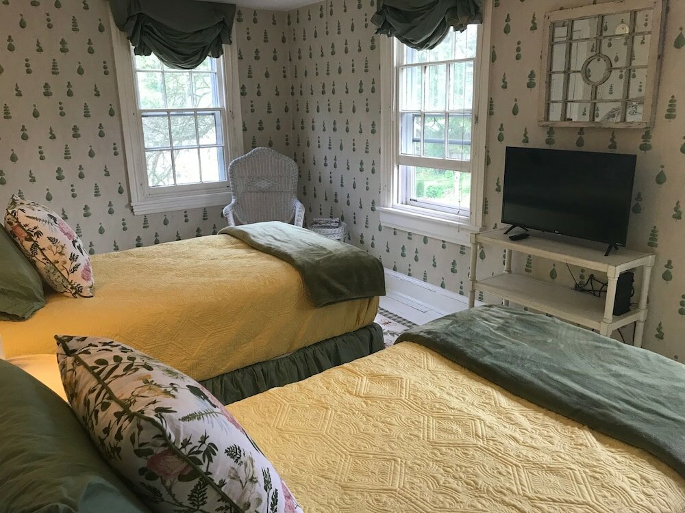 Фото Wild Wisteria