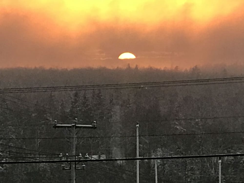 Фото White Birches Motel