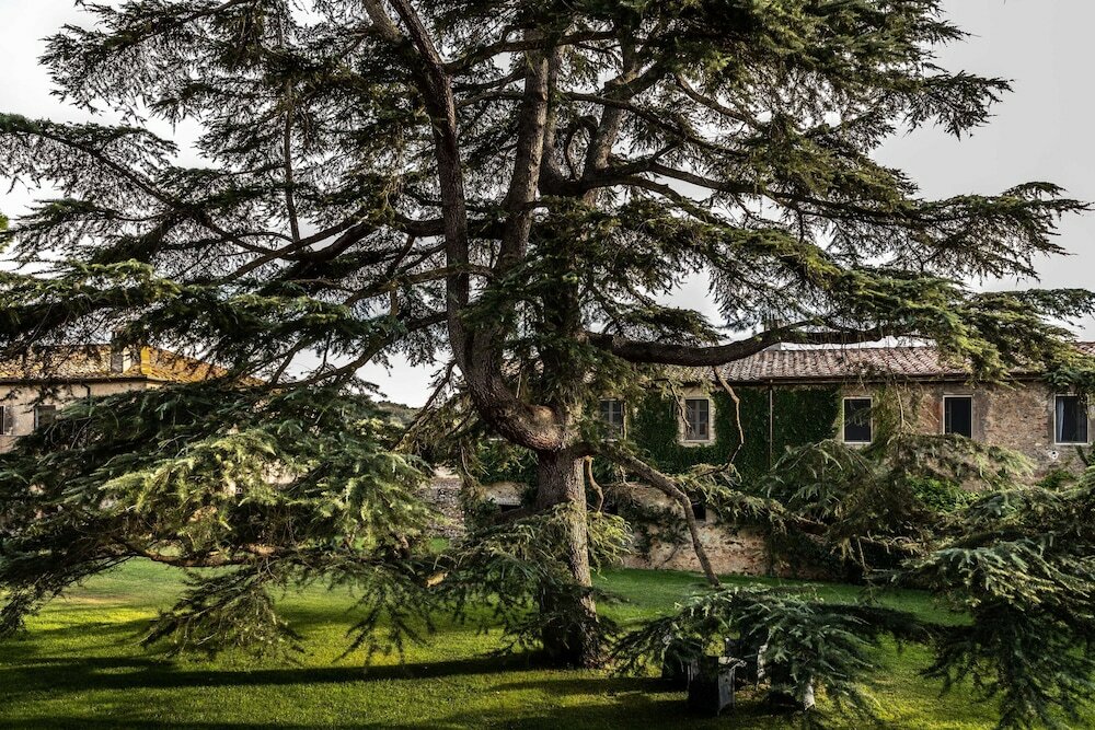 Фото La Pescaia Resort