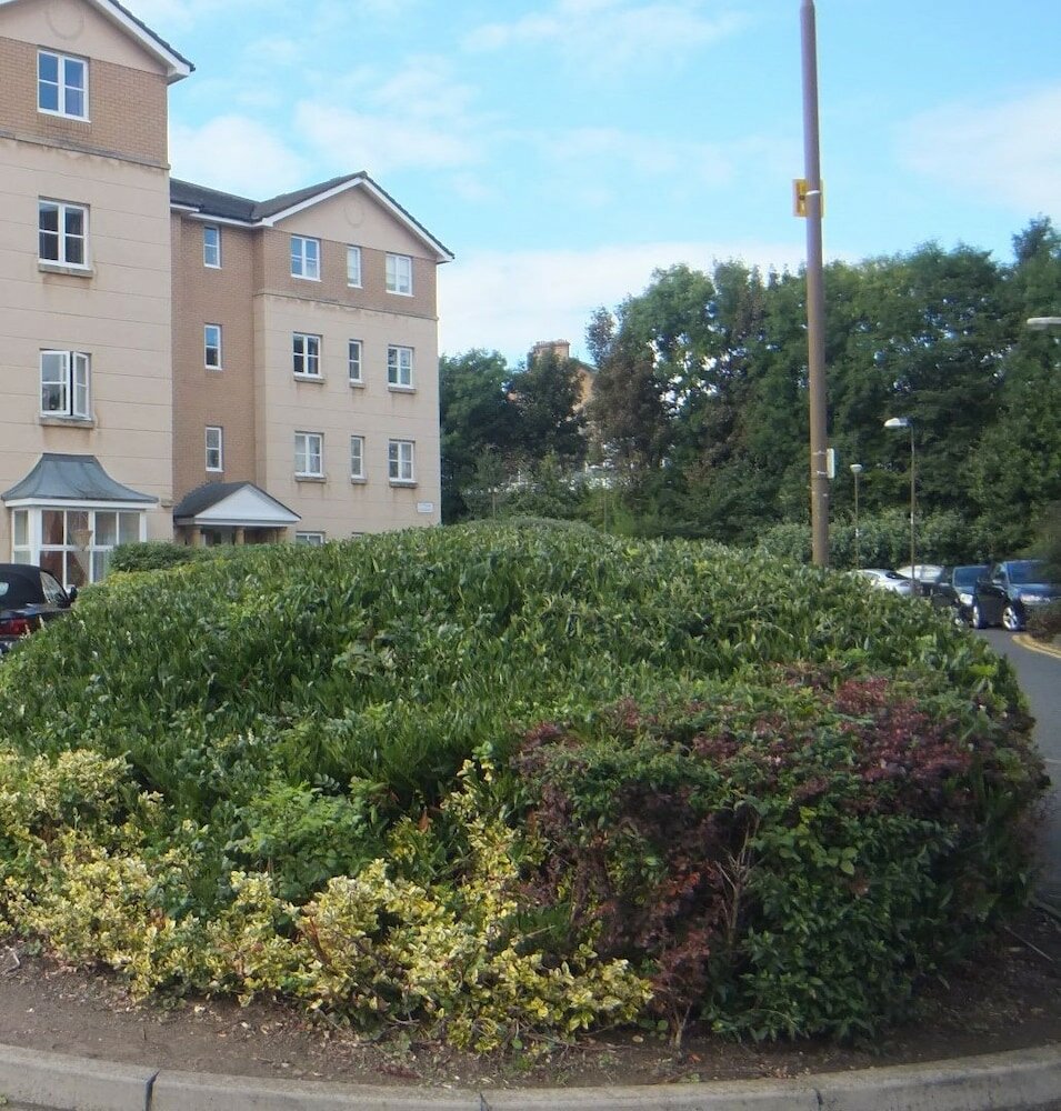 Фото Edinburgh Palace Apartment