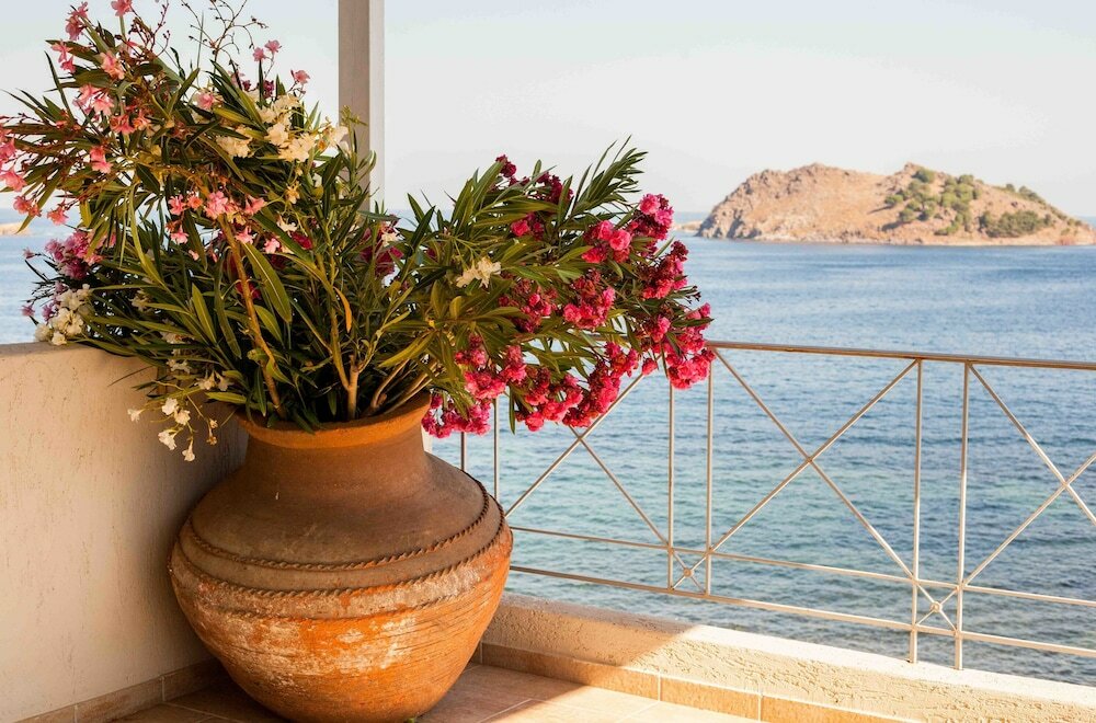 Фото Little Bird