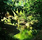 La Gamba Rainforest Lodge