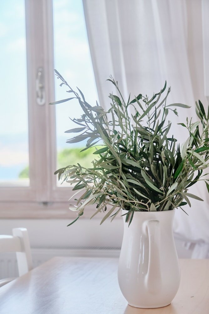 Фото Little Bird