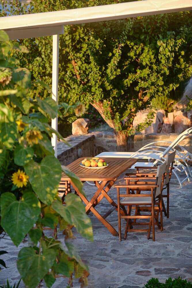 Фото Little Bird